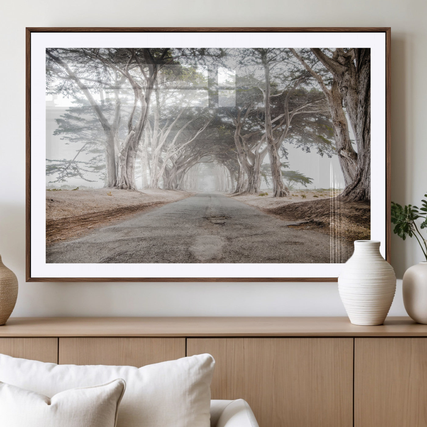 Canvas of a misty tree tunnel with arching cypress trees and an earthy road, ideal for rustic or coastal nature decor.