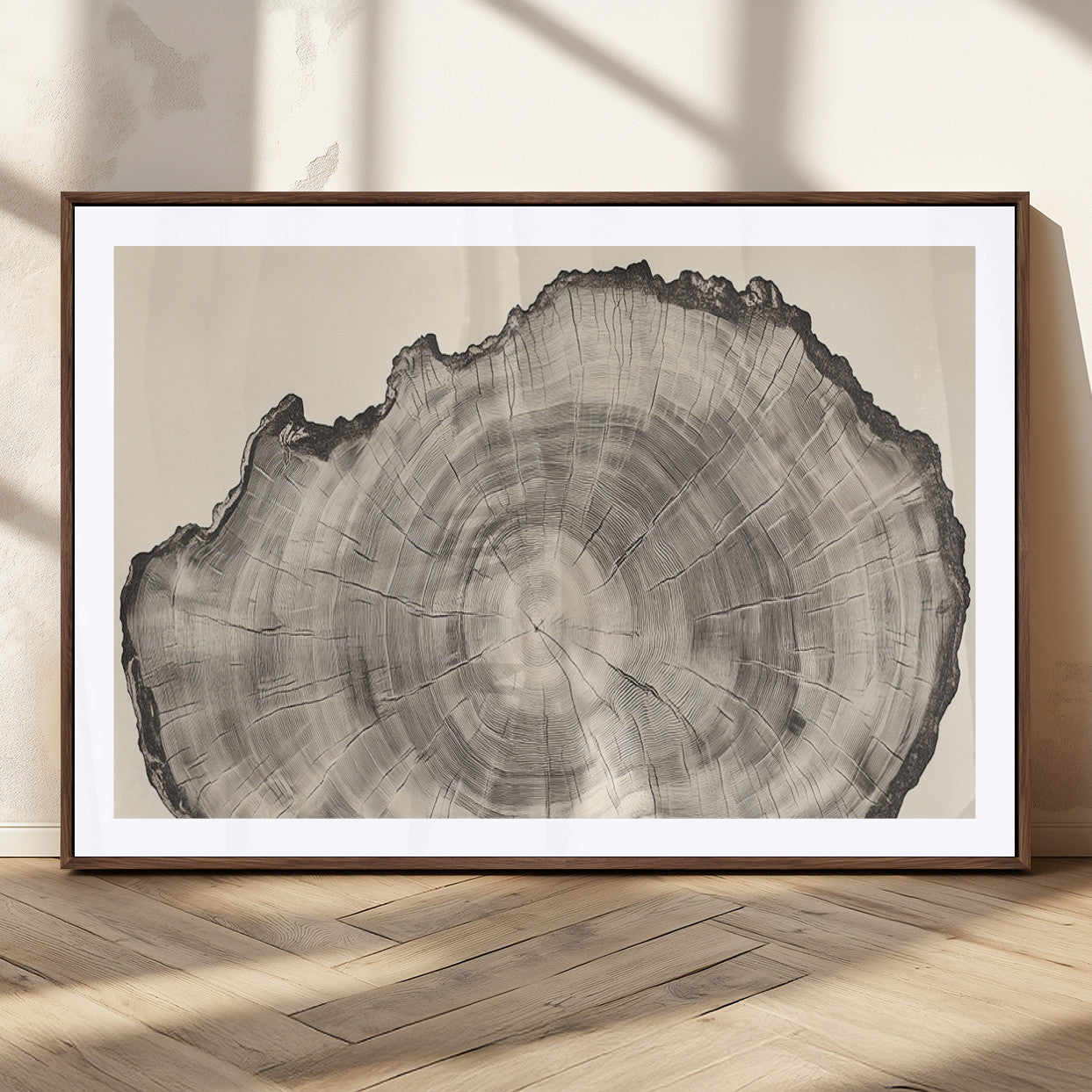 Detailed tree ring drawing in monochrome tones, ideal for rustic or nature-inspired interiors with a minimal decor aesthetic.