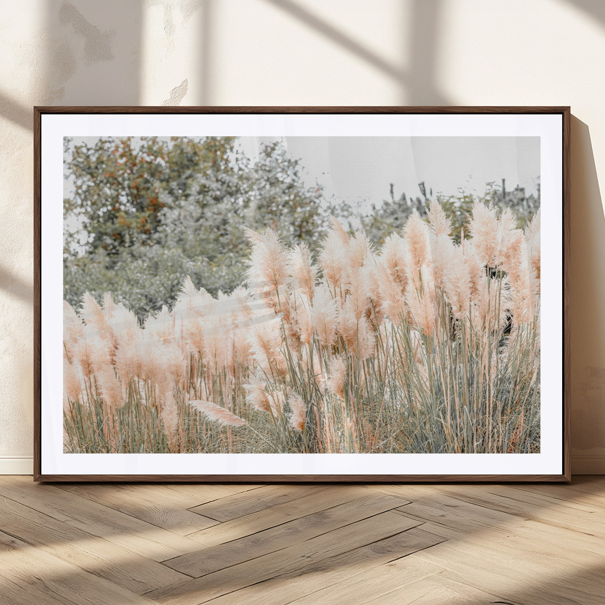 Soft pastel pampas grasses in a natural setting, ideal for neutral boho or rustic botanical-style interior wall decoration.