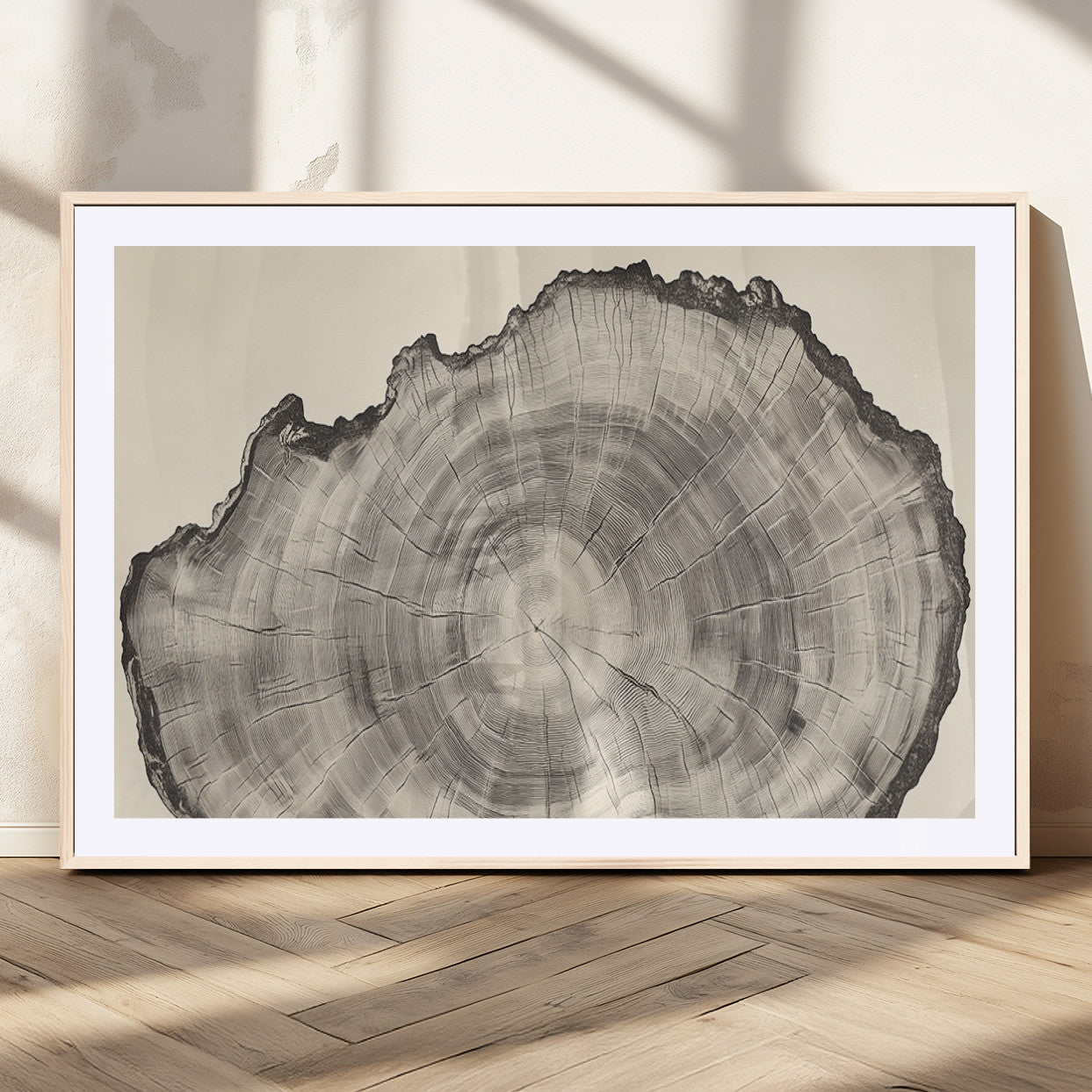Detailed tree ring drawing in monochrome tones, ideal for rustic or nature-inspired interiors with a minimal decor aesthetic.