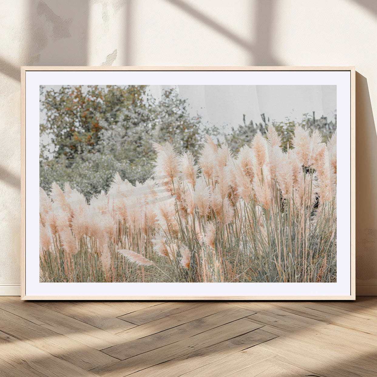 Soft pastel pampas grasses in a natural setting, ideal for neutral boho or rustic botanical-style interior wall decoration.