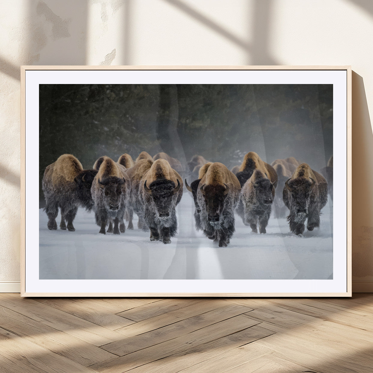 A herd of American bisons walking through deep snow in a forest, evoking a powerful rustic wilderness mood for western-style interiors.