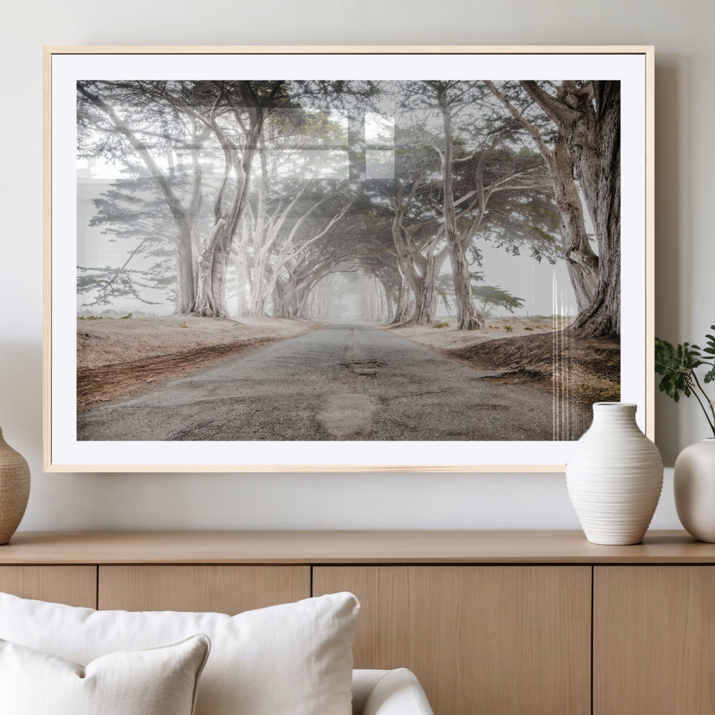 Canvas of a misty tree tunnel with arching cypress trees and an earthy road, ideal for rustic or coastal nature decor.