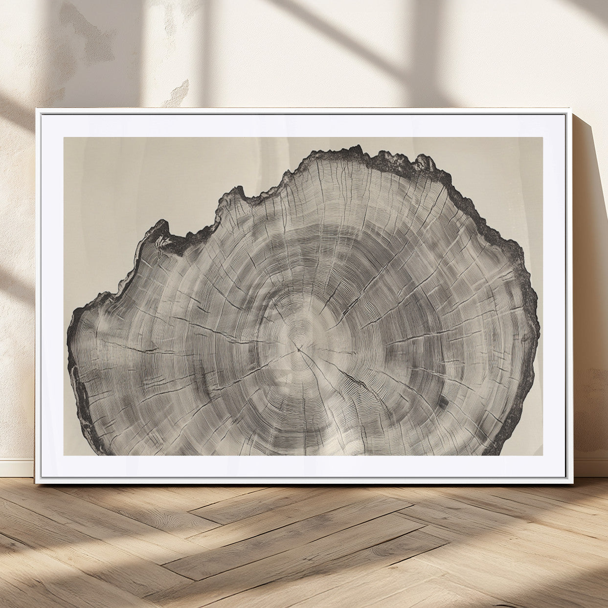 Detailed tree ring drawing in monochrome tones, ideal for rustic or nature-inspired interiors with a minimal decor aesthetic.