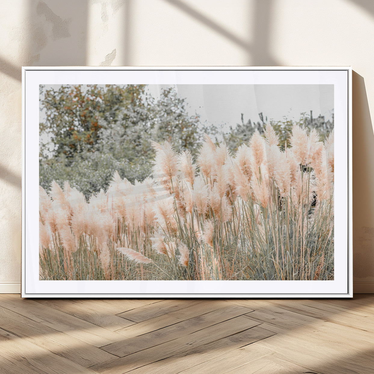 Soft pastel pampas grasses in a natural setting, ideal for neutral boho or rustic botanical-style interior wall decoration.