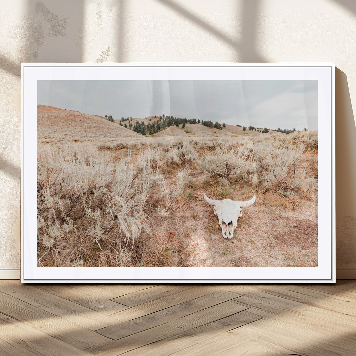 Rustic bull skull on dry sagebrush field under soft light, ideal for western minimal or desert prairie-style wall decoration.