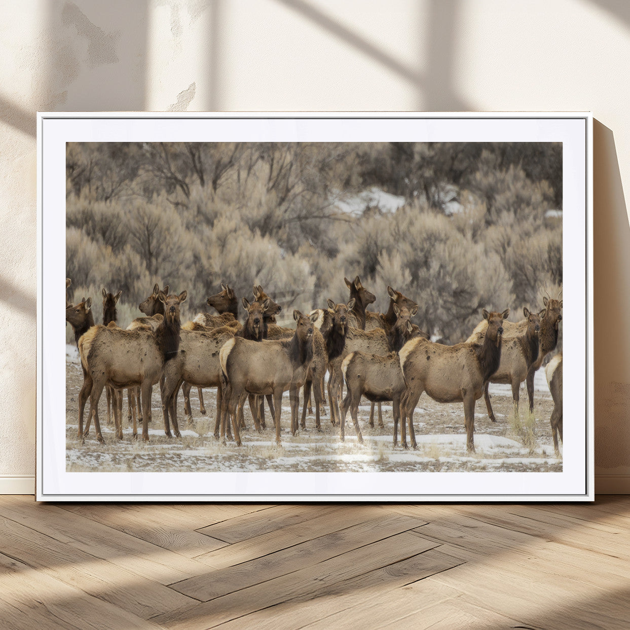 A large herd of elk standing in an open field with soft earthy tones, ideal for rustic lodge or western-themed home wall decor.