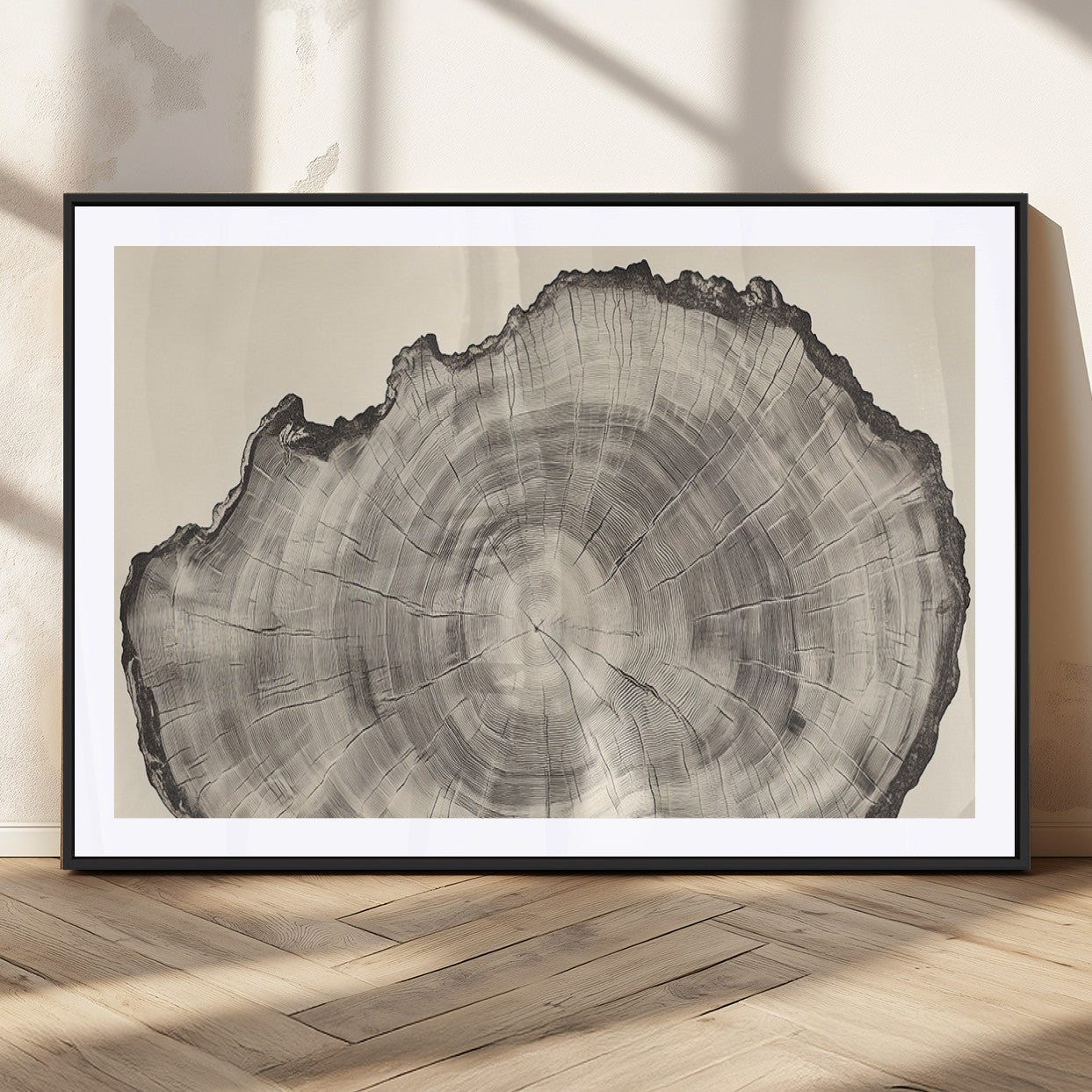Detailed tree ring drawing in monochrome tones, ideal for rustic or nature-inspired interiors with a minimal decor aesthetic.