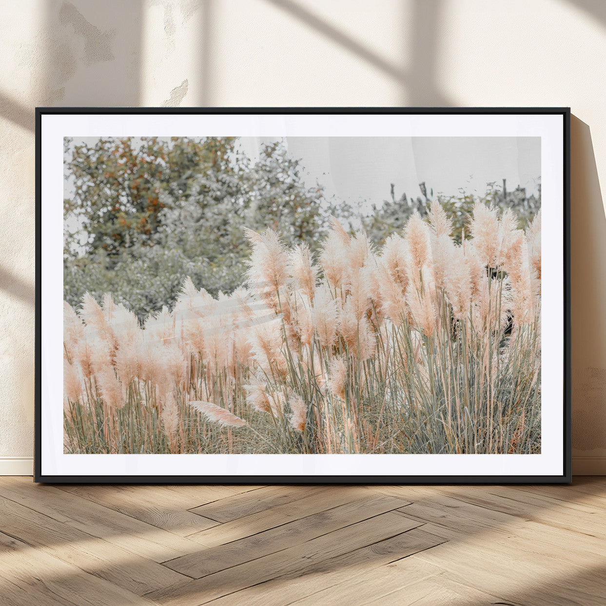 Soft pastel pampas grasses in a natural setting, ideal for neutral boho or rustic botanical-style interior wall decoration.
