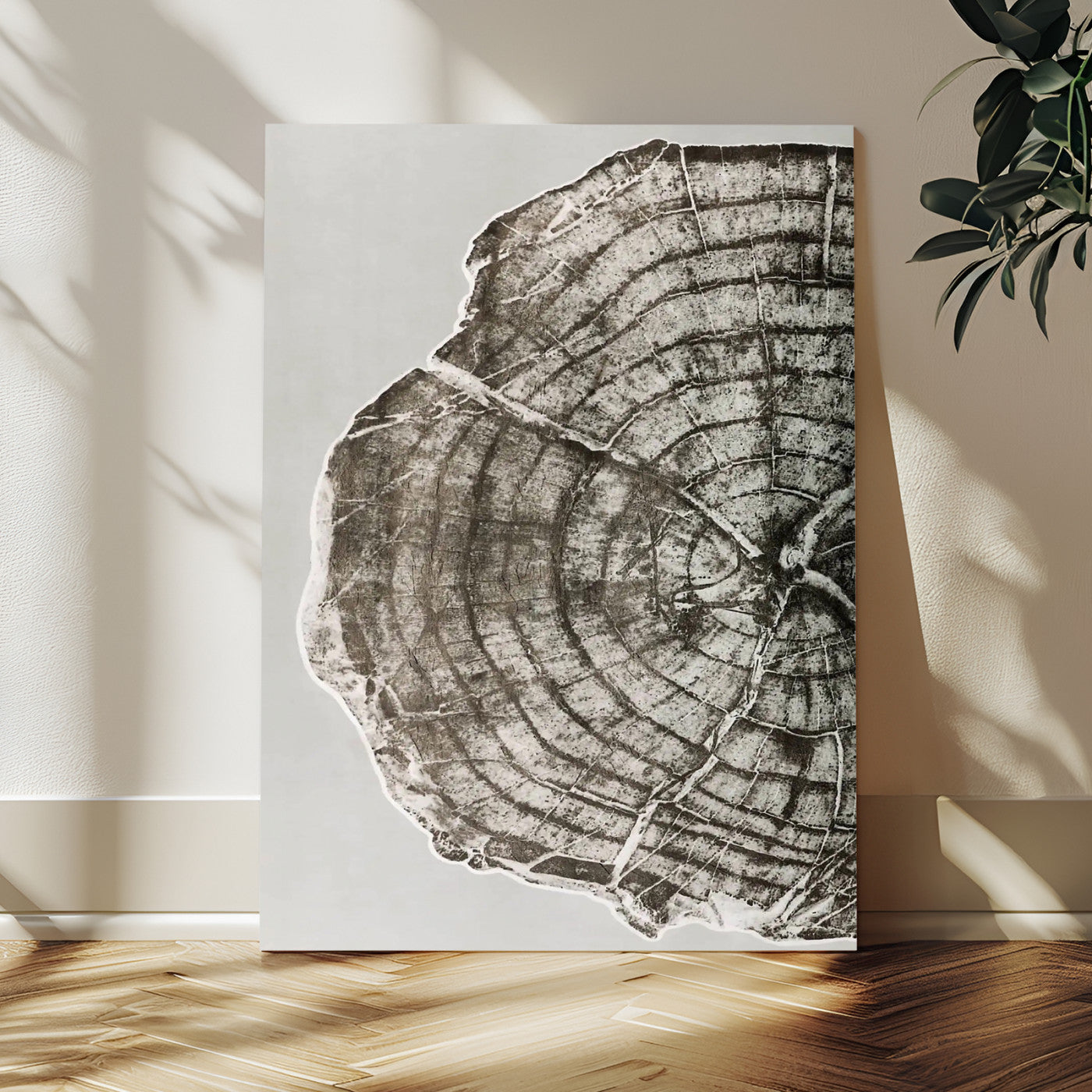 A close-up tree ring cross-section with neutral tones and organic texture, perfect for rustic, modern, or minimalist interior wall decor.