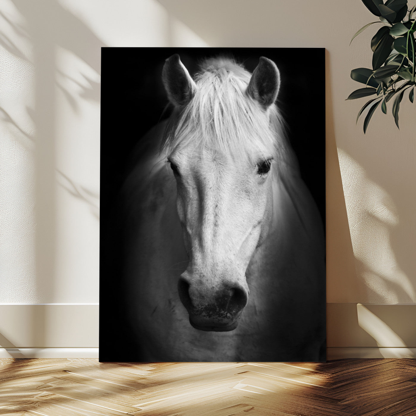 Large Wall Art White Horse on Black Background Canvas Print