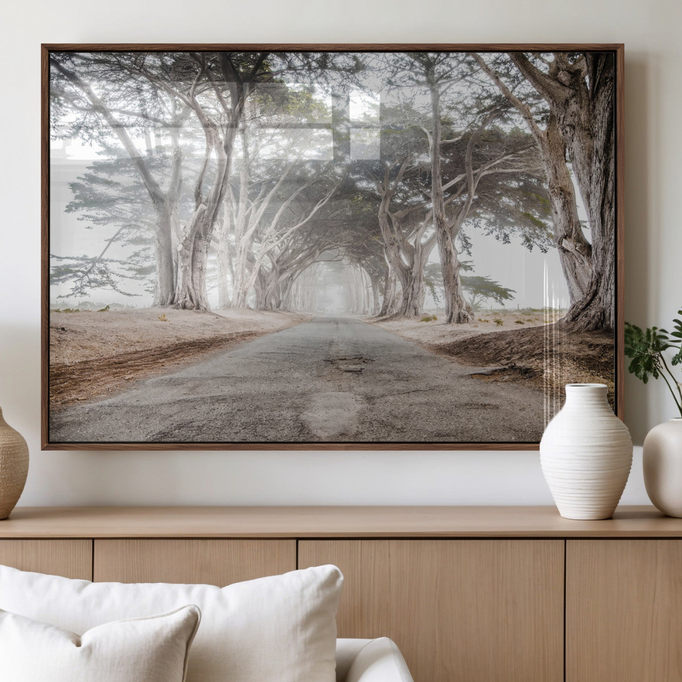Canvas of a misty tree tunnel with arching cypress trees and an earthy road, ideal for rustic or coastal nature decor.