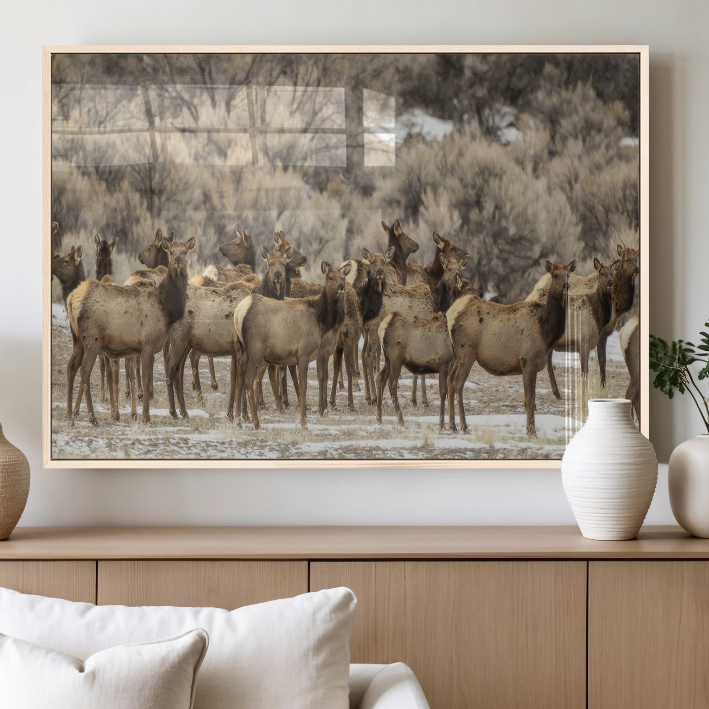 A large herd of elk standing in an open field with soft earthy tones, ideal for rustic lodge or western-themed home wall decor.