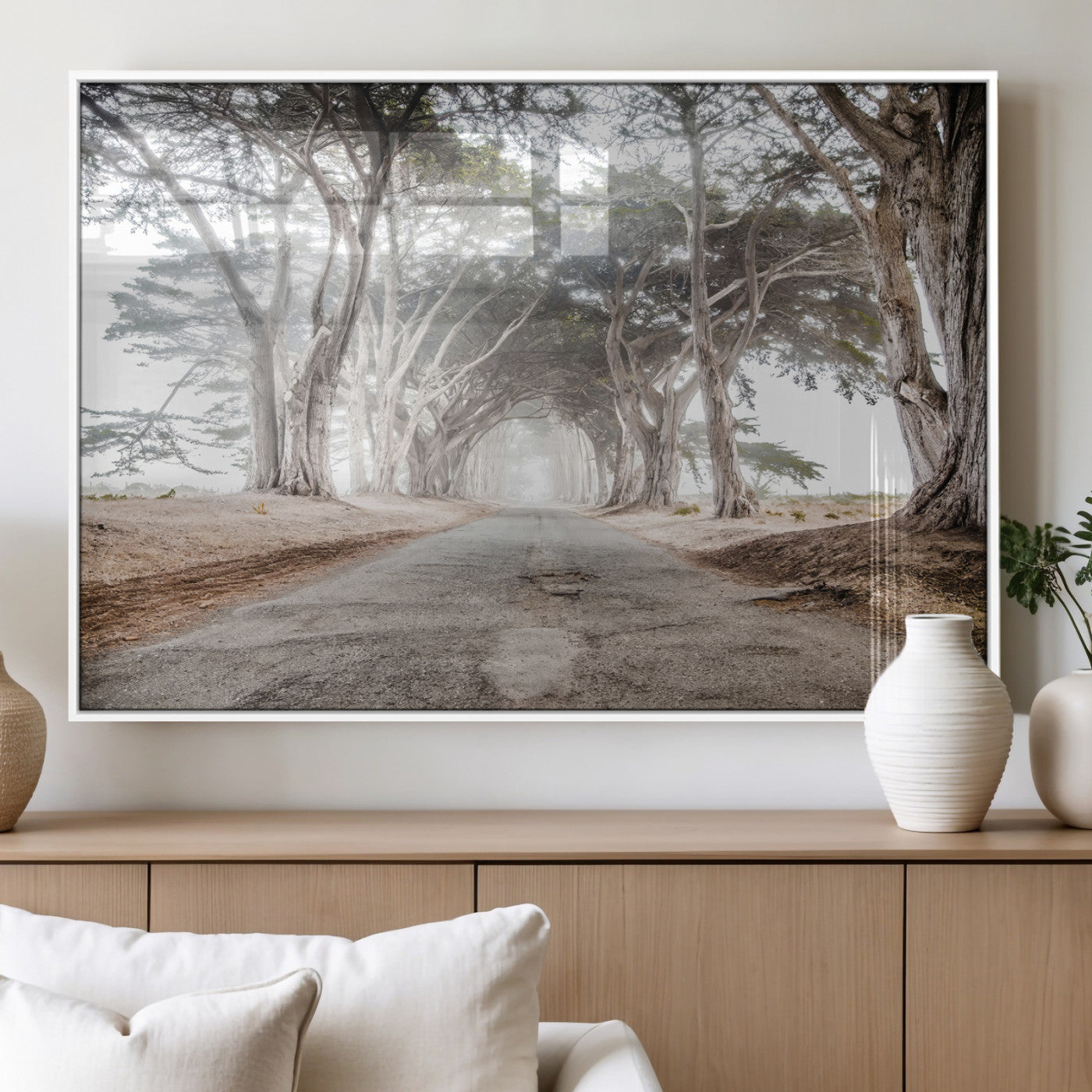 Canvas of a misty tree tunnel with arching cypress trees and an earthy road, ideal for rustic or coastal nature decor.