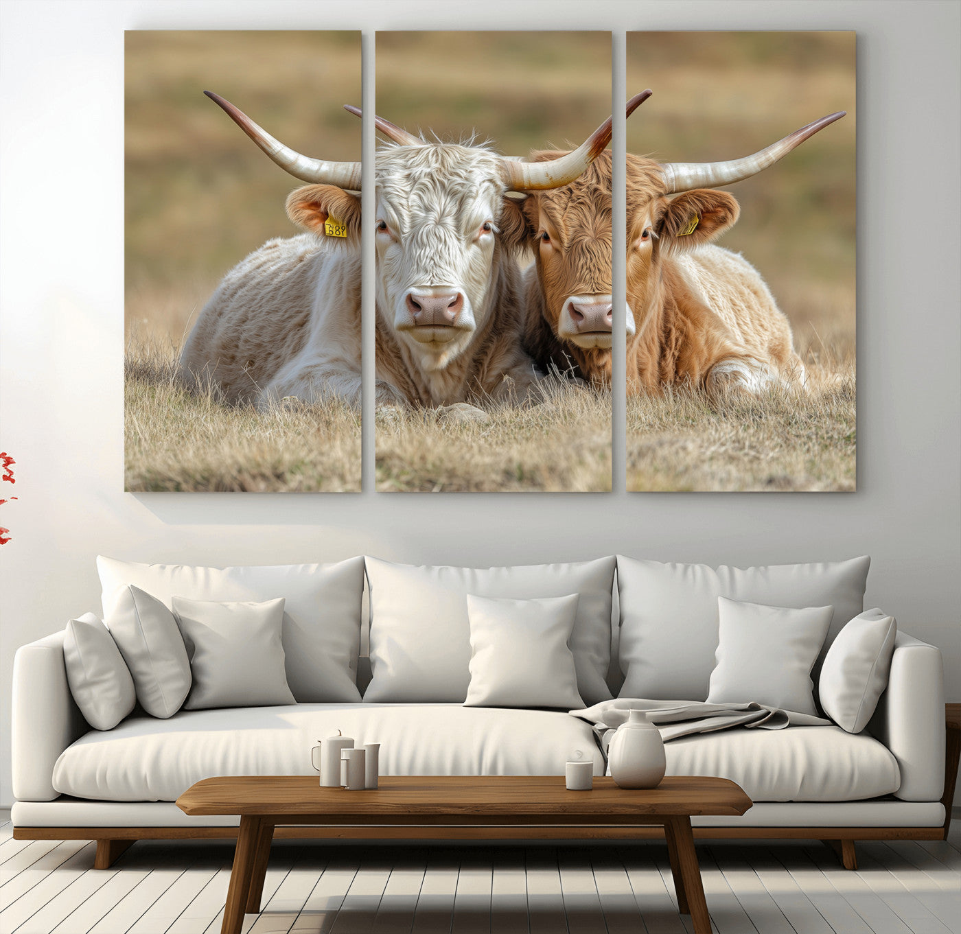 Two cows laying closely in a dry grassy field, captured in soft light, perfect for rustic farmhouse or western style home decor.