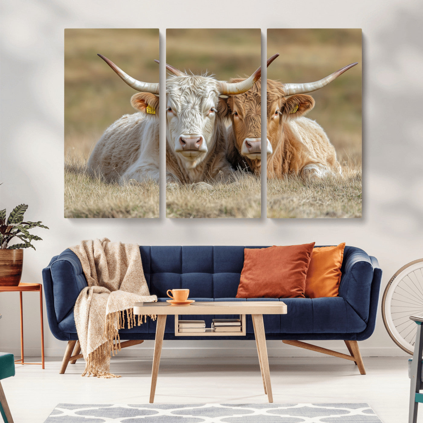 Two cows laying closely in a dry grassy field, captured in soft light, perfect for rustic farmhouse or western style home decor.