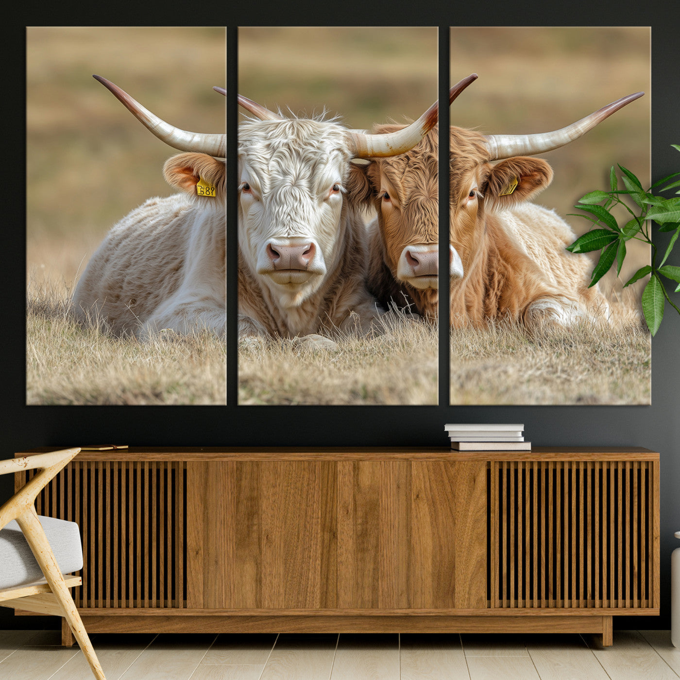 Two cows laying closely in a dry grassy field, captured in soft light, perfect for rustic farmhouse or western style home decor.