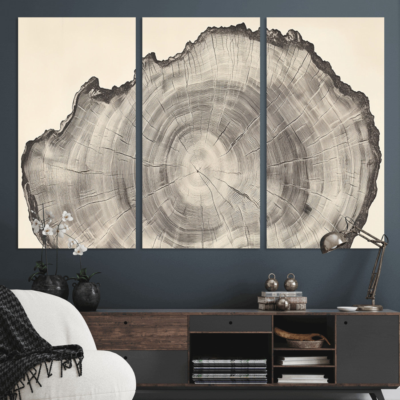 Detailed tree ring drawing in monochrome tones, ideal for rustic or nature-inspired interiors with a minimal decor aesthetic.