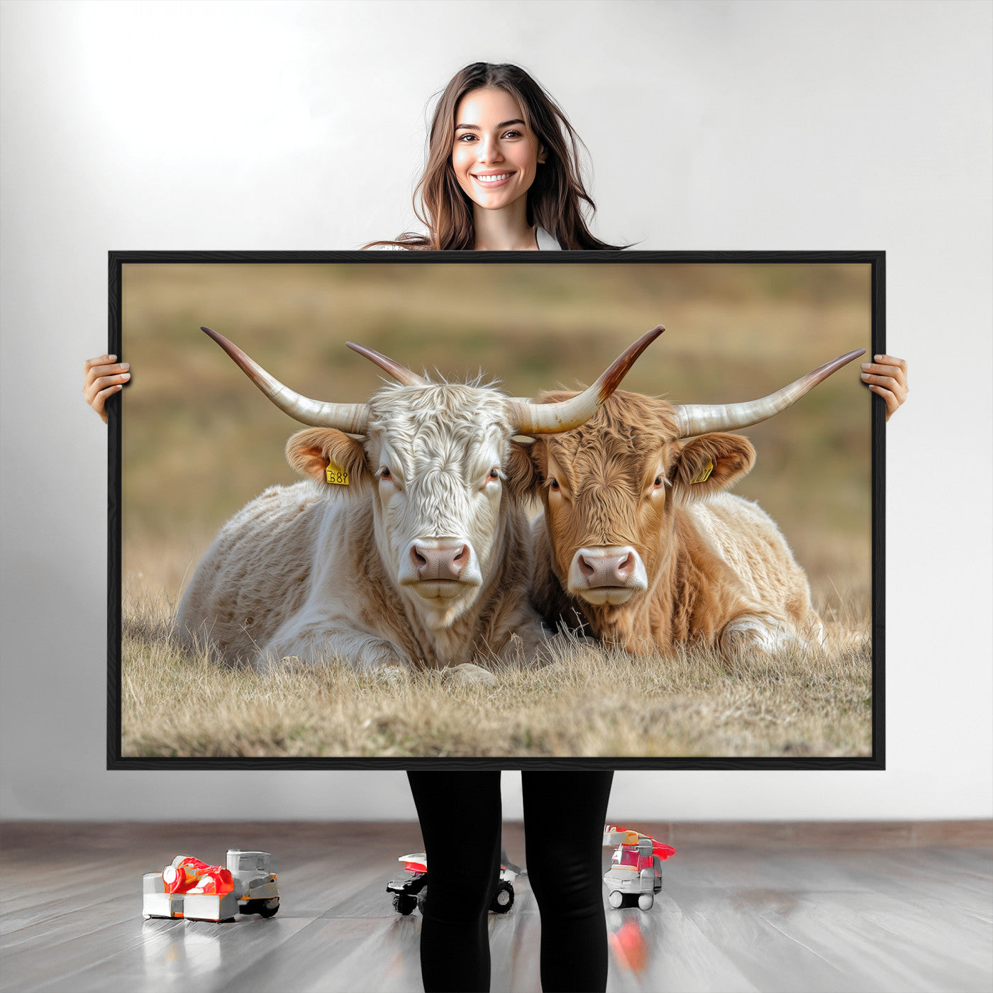 Two cows laying closely in a dry grassy field, captured in soft light, perfect for rustic farmhouse or western style home decor.