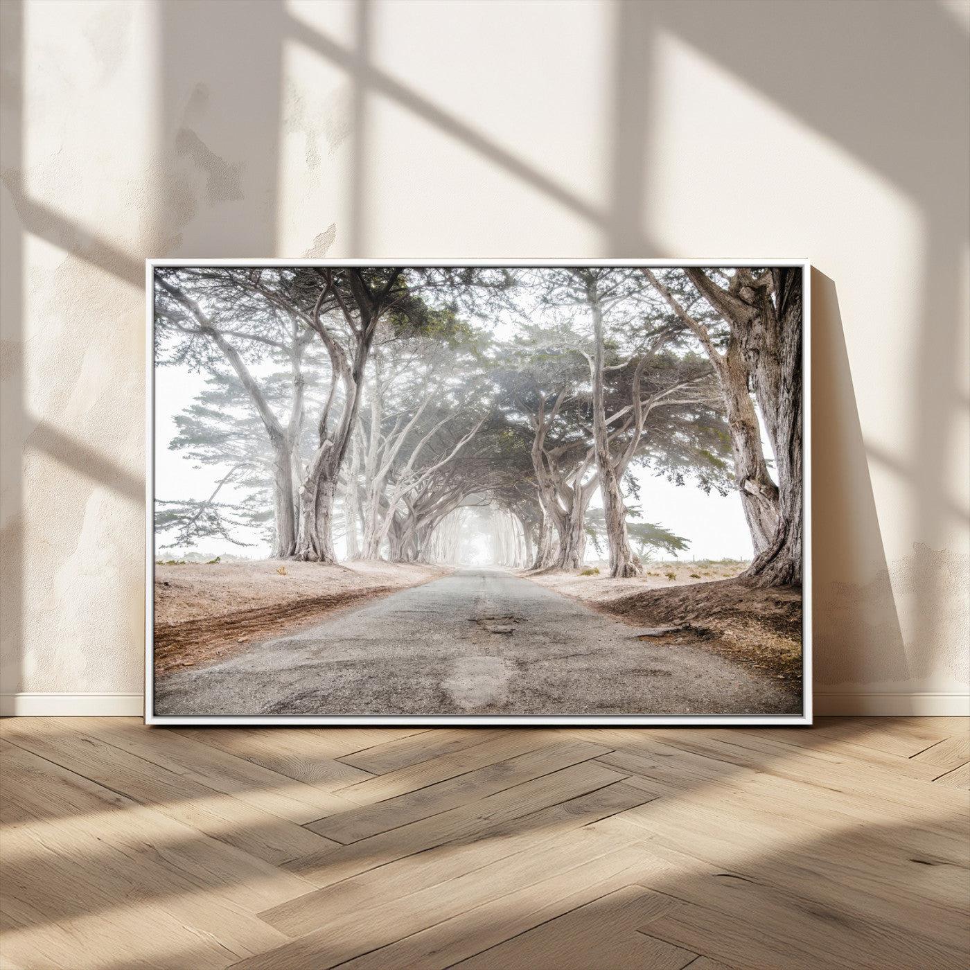 Canvas of a misty tree tunnel with arching cypress trees and an earthy road, ideal for rustic or coastal nature decor.