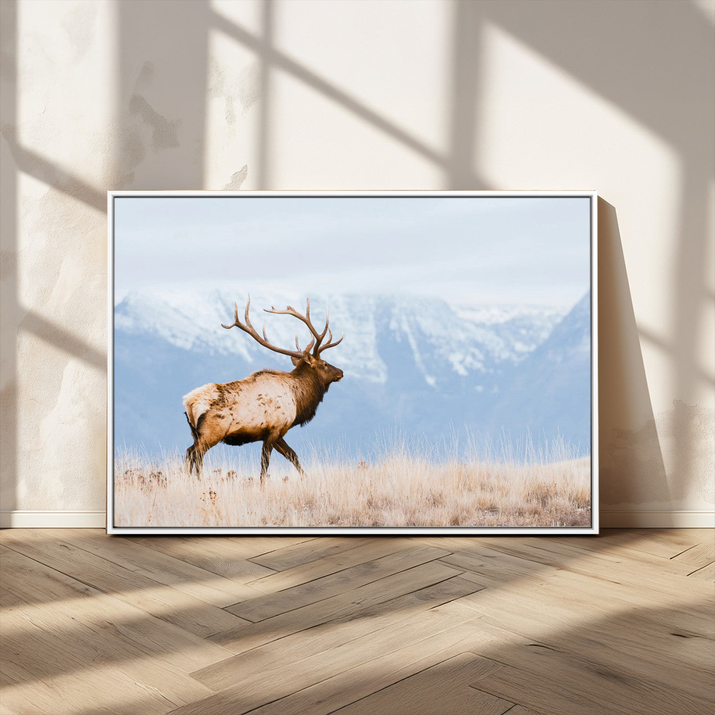 An elk walking on snowy grassland with majestic mountains in the background, ideal for rustic lodge or cabin wall decor.