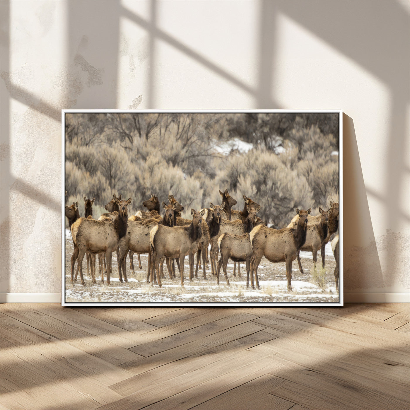 A large herd of elk standing in an open field with soft earthy tones, ideal for rustic lodge or western-themed home wall decor.