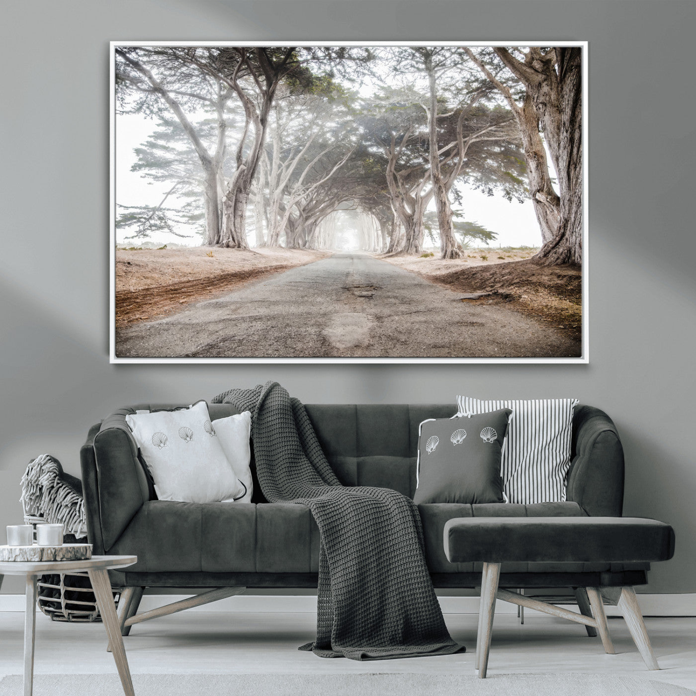 Canvas of a misty tree tunnel with arching cypress trees and an earthy road, ideal for rustic or coastal nature decor.