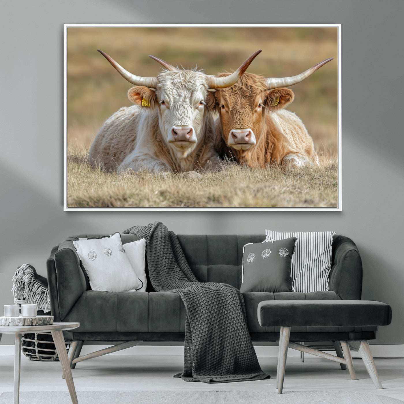 Two cows laying closely in a dry grassy field, captured in soft light, perfect for rustic farmhouse or western style home decor.