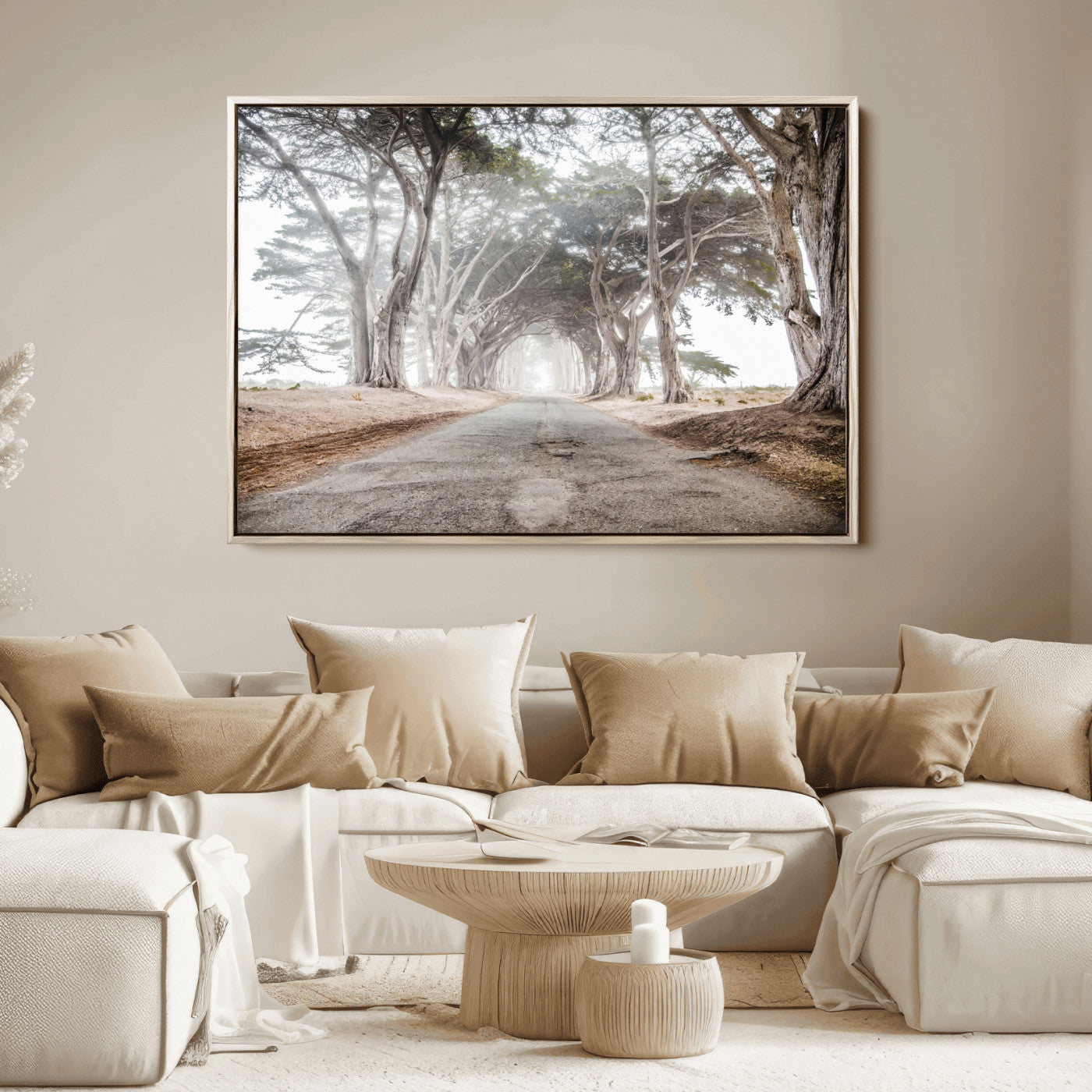 Canvas of a misty tree tunnel with arching cypress trees and an earthy road, ideal for rustic or coastal nature decor.