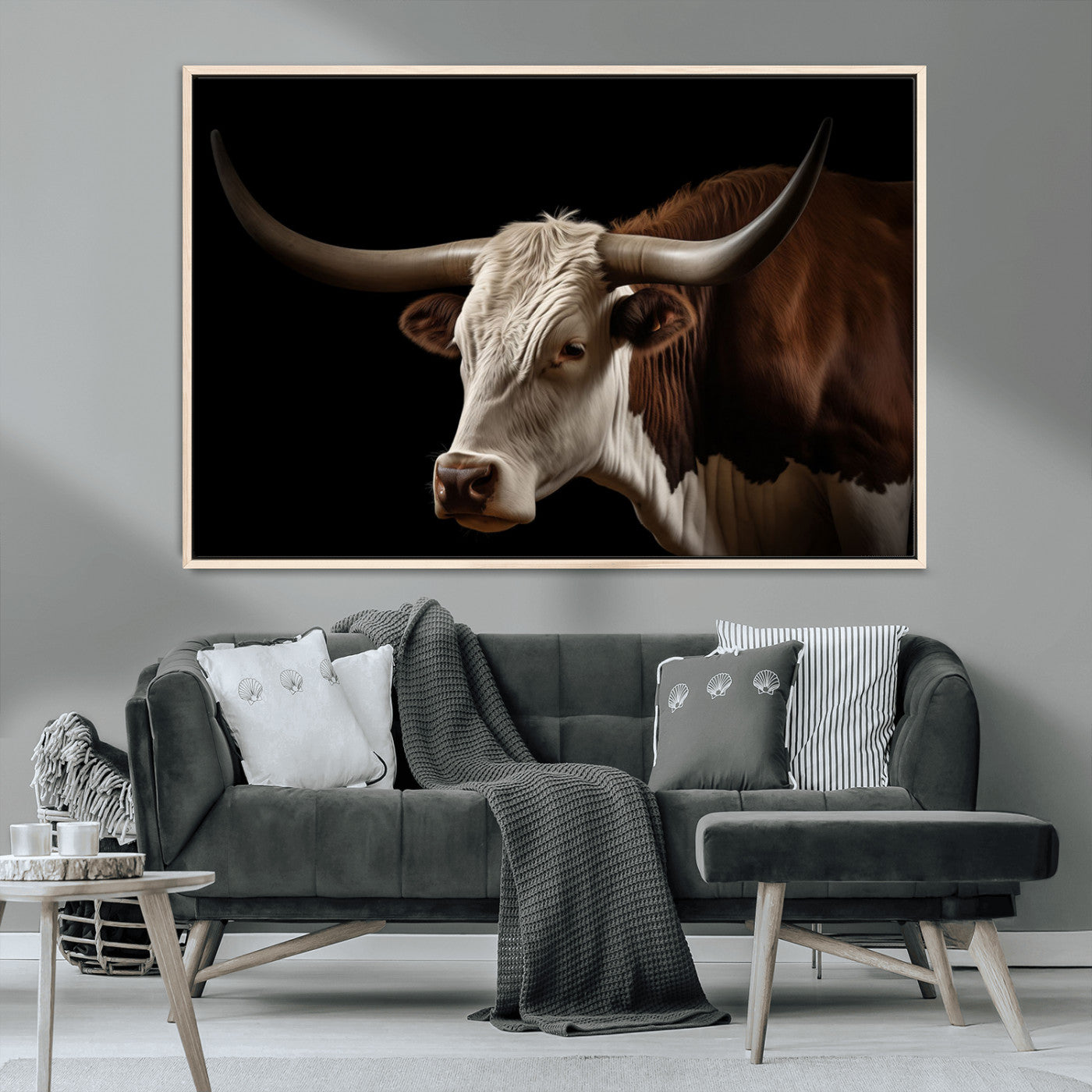 "Close-up of a brown and white longhorn cow with prominent curved horns against a black background."