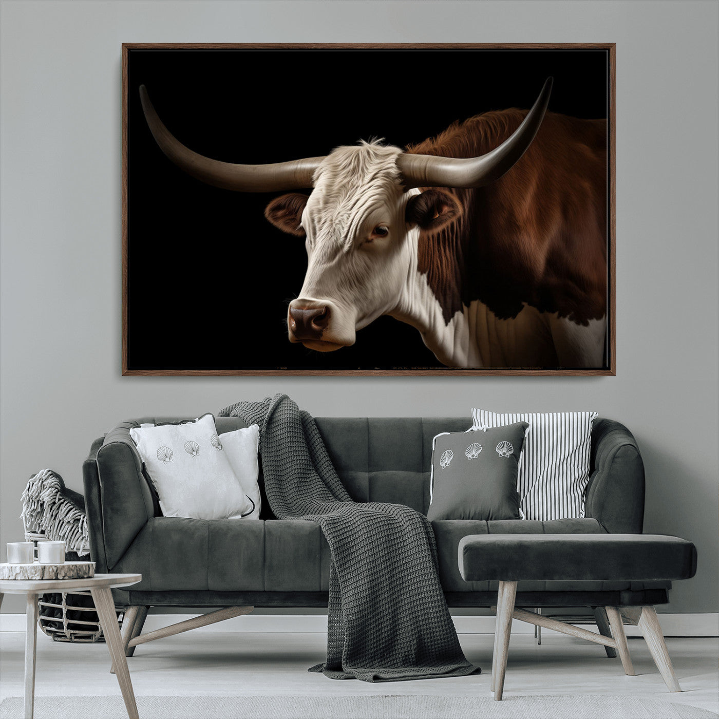"Close-up of a brown and white longhorn cow with prominent curved horns against a black background."