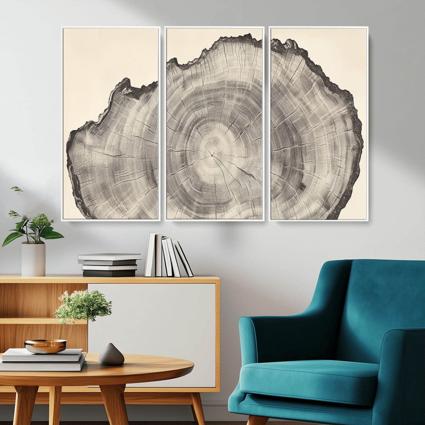 Detailed tree ring drawing in monochrome tones, ideal for rustic or nature-inspired interiors with a minimal decor aesthetic.