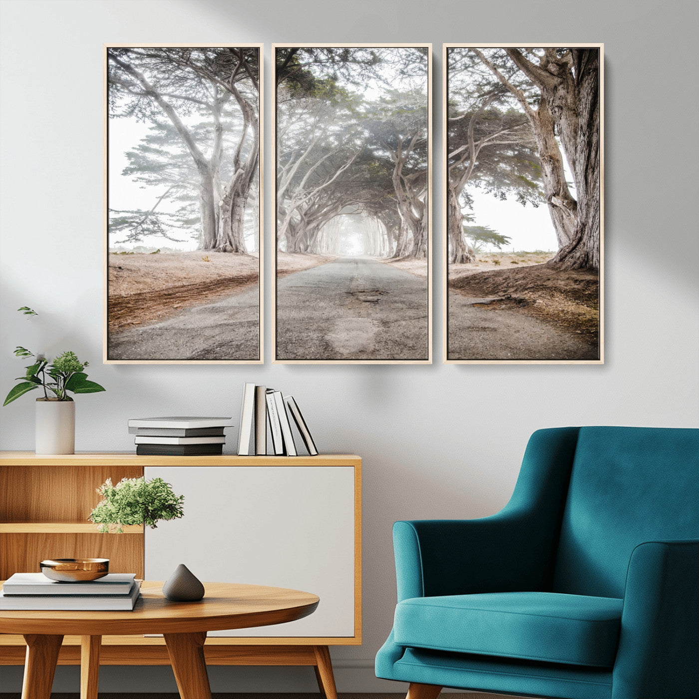 Canvas of a misty tree tunnel with arching cypress trees and an earthy road, ideal for rustic or coastal nature decor.