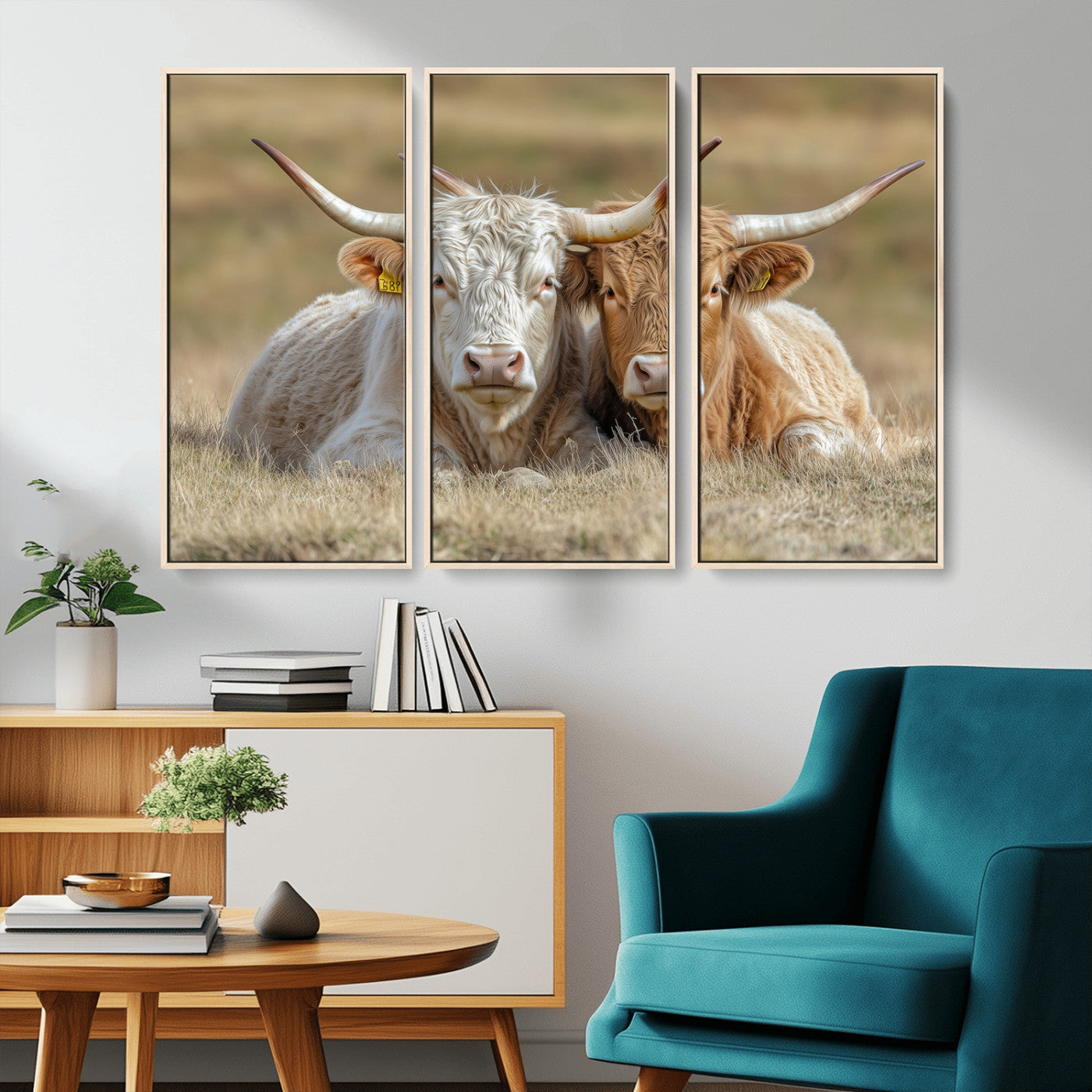 Two cows laying closely in a dry grassy field, captured in soft light, perfect for rustic farmhouse or western style home decor.