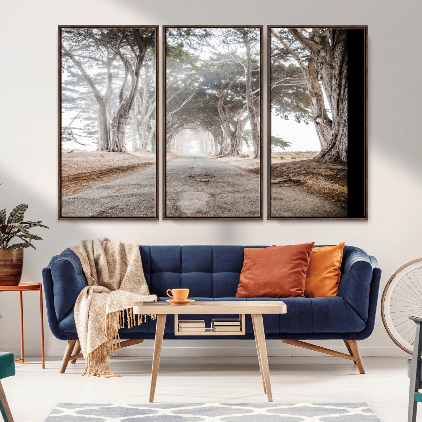 Canvas of a misty tree tunnel with arching cypress trees and an earthy road, ideal for rustic or coastal nature decor.