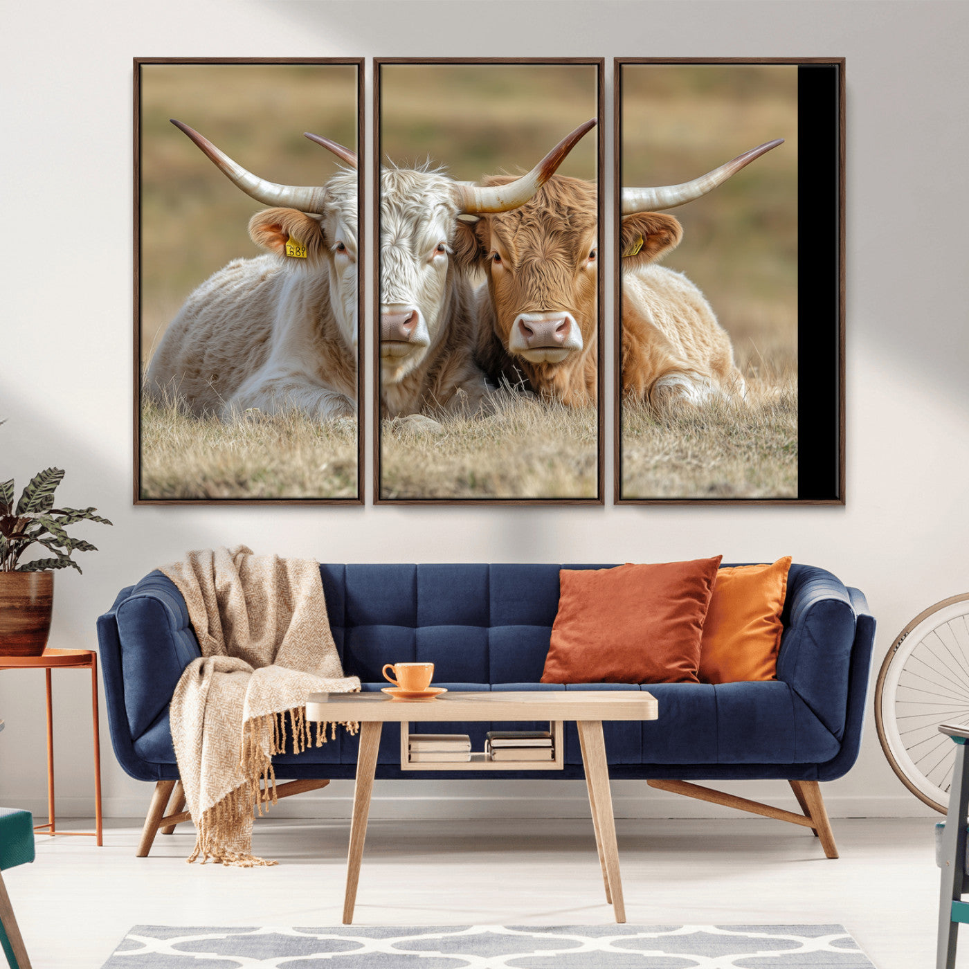 Two cows laying closely in a dry grassy field, captured in soft light, perfect for rustic farmhouse or western style home decor.