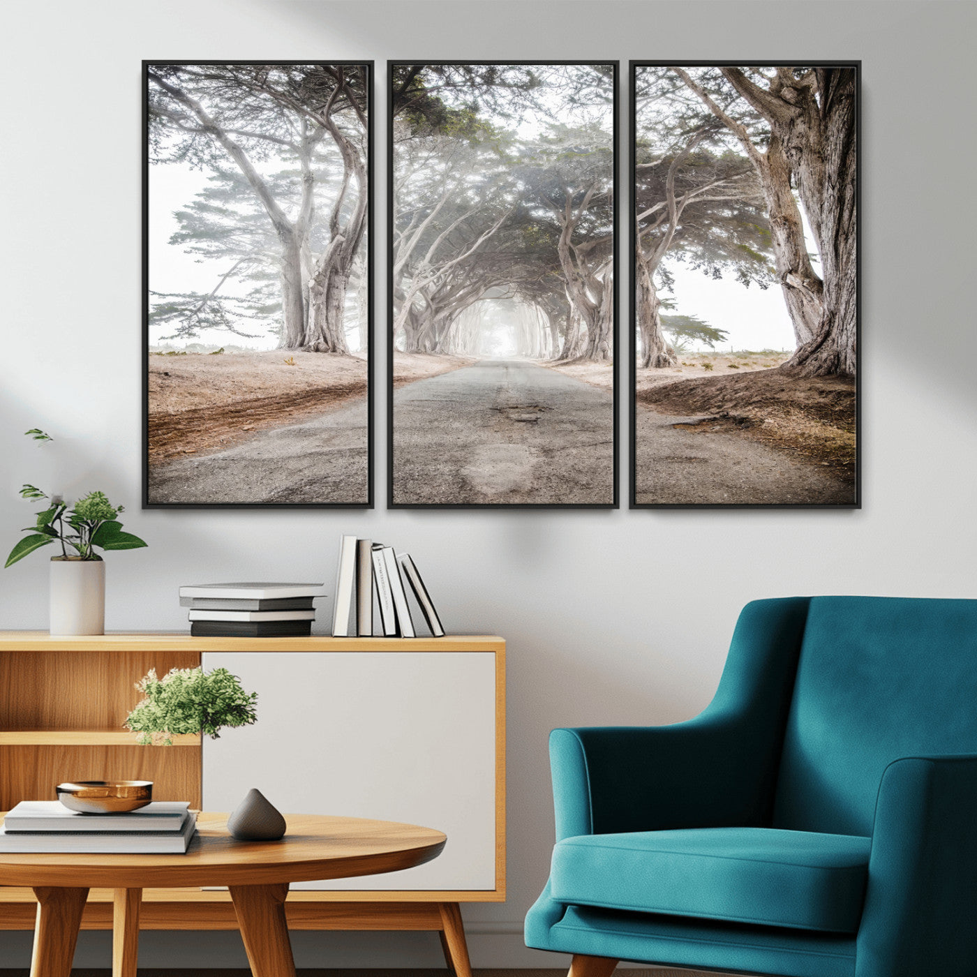 Canvas of a misty tree tunnel with arching cypress trees and an earthy road, ideal for rustic or coastal nature decor.