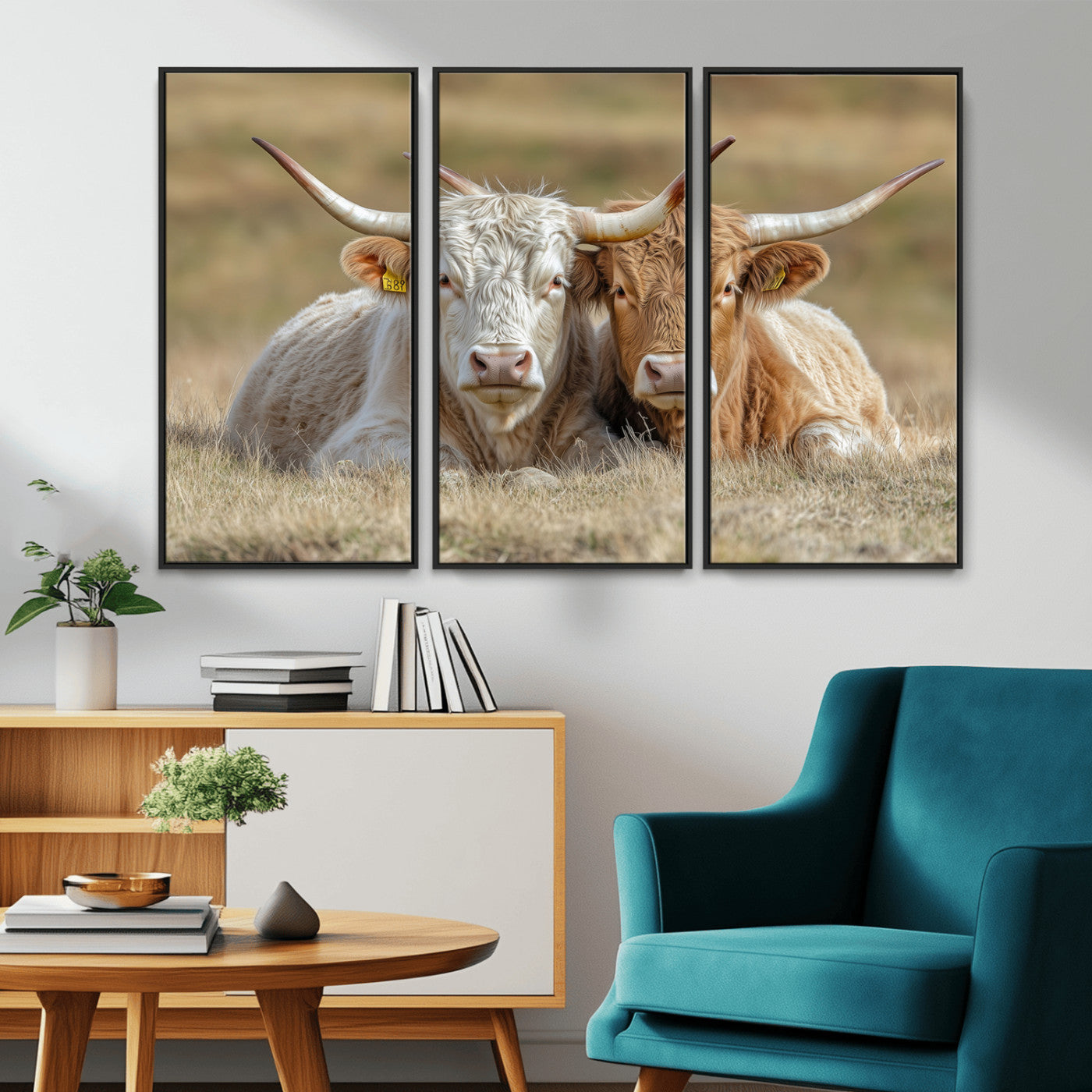 Two cows laying closely in a dry grassy field, captured in soft light, perfect for rustic farmhouse or western style home decor.