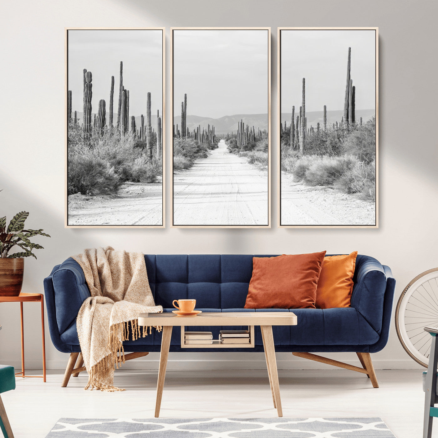 A black and white desert road stretching through a cactus-filled landscape, creating a rugged and timeless southwestern aesthetic with a sense of adventure.