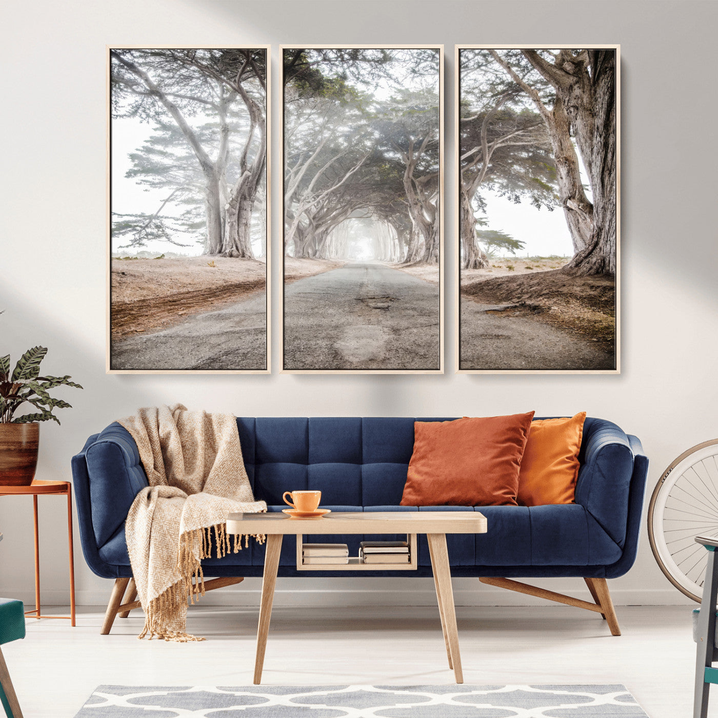Canvas of a misty tree tunnel with arching cypress trees and an earthy road, ideal for rustic or coastal nature decor.