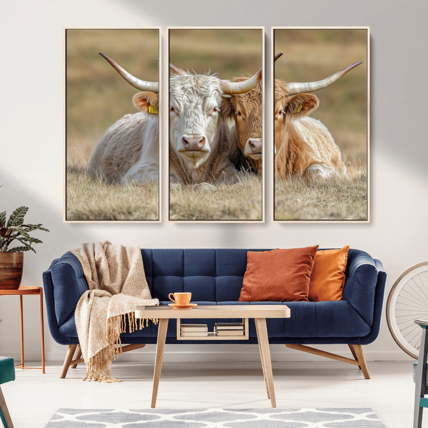 Two cows laying closely in a dry grassy field, captured in soft light, perfect for rustic farmhouse or western style home decor.