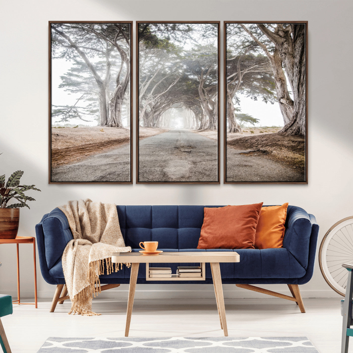 Canvas of a misty tree tunnel with arching cypress trees and an earthy road, ideal for rustic or coastal nature decor.