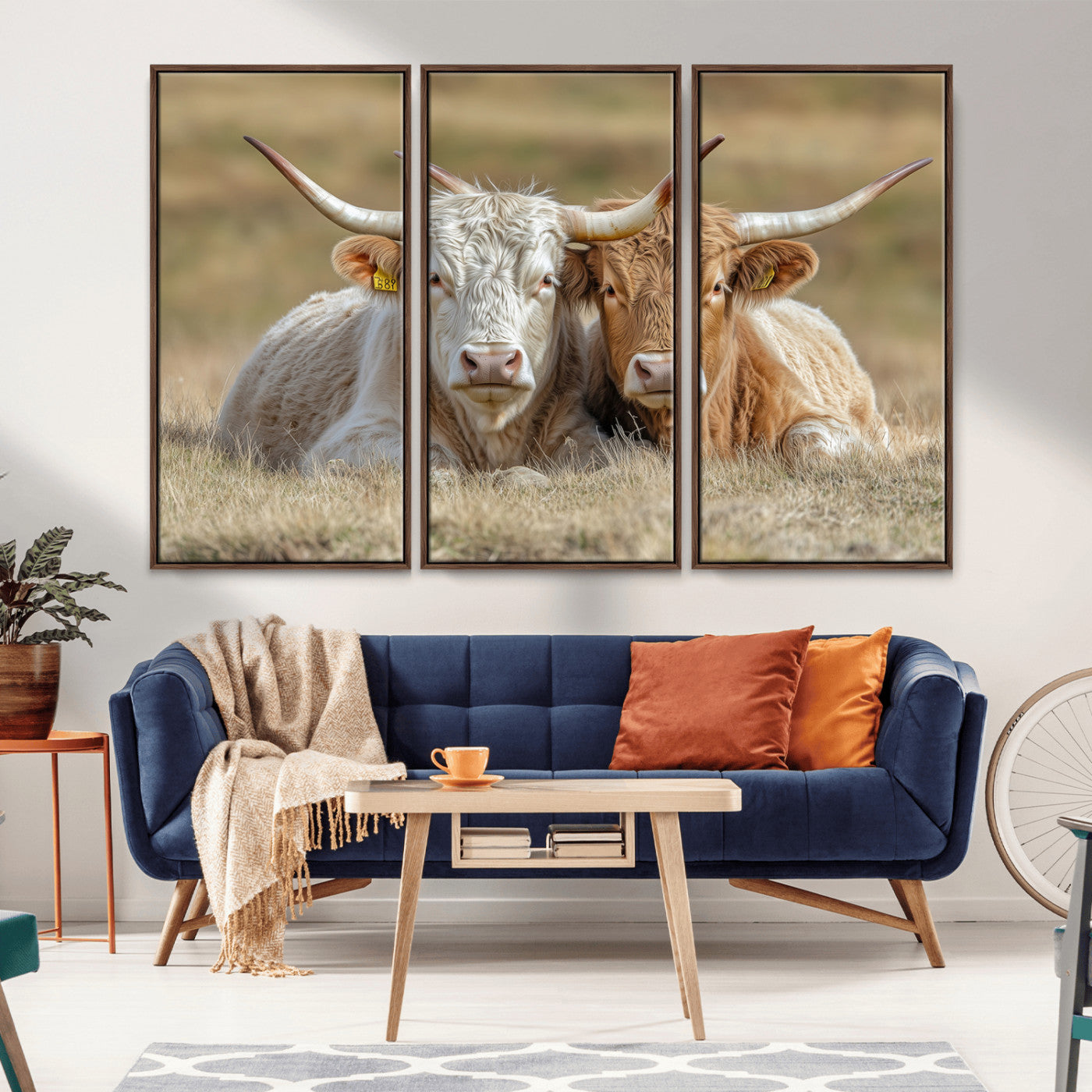Two cows laying closely in a dry grassy field, captured in soft light, perfect for rustic farmhouse or western style home decor.