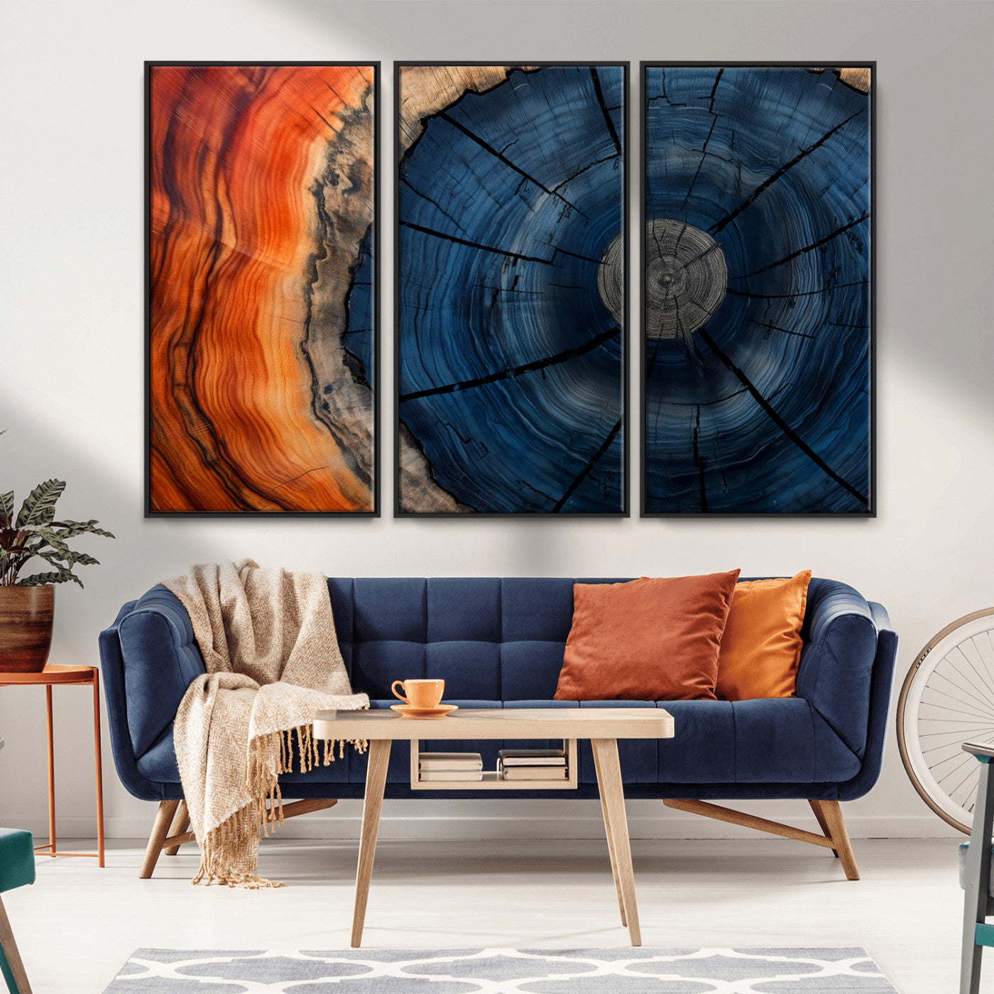 A captivating close-up of a tree trunk, showcasing its concentric rings in rich shades of blue, orange, and brown, highlighting the organic patterns of natural wood.