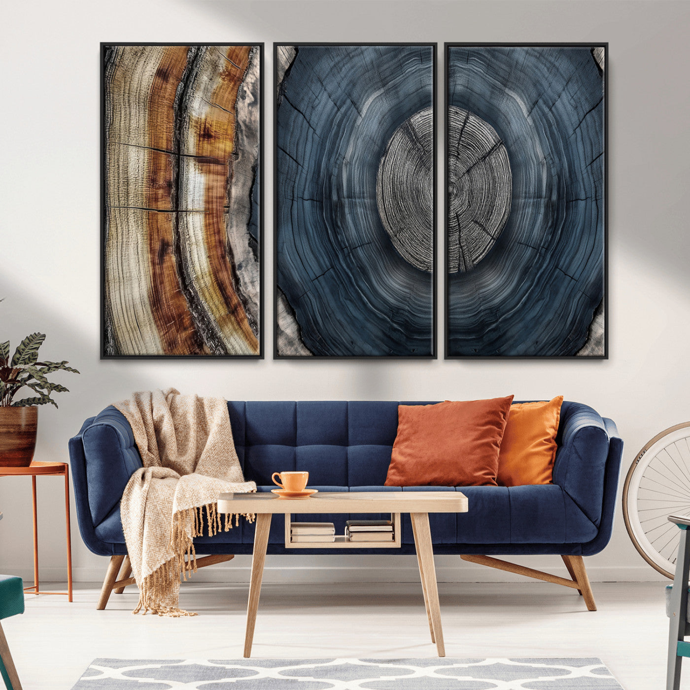 A stunning close-up of a tree trunk showing the intricate, circular growth rings, showcasing the natural textures and rich contrasts in deep blues, browns, and silvers.
