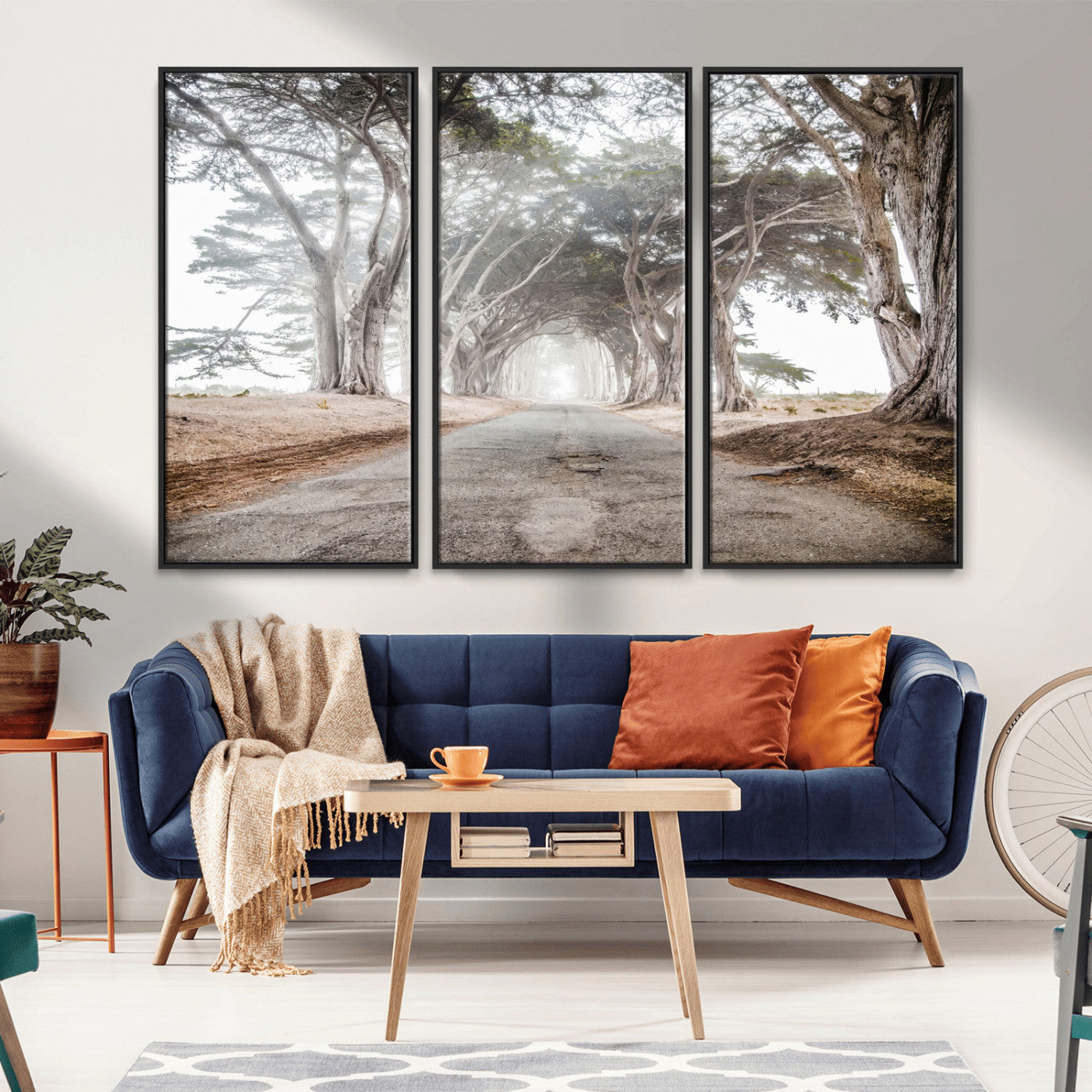 Canvas of a misty tree tunnel with arching cypress trees and an earthy road, ideal for rustic or coastal nature decor.