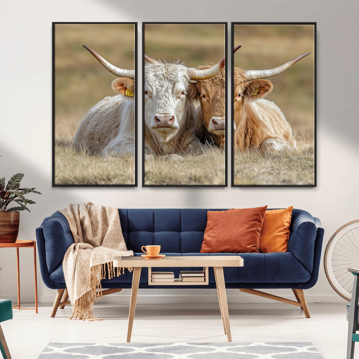 Two cows laying closely in a dry grassy field, captured in soft light, perfect for rustic farmhouse or western style home decor.