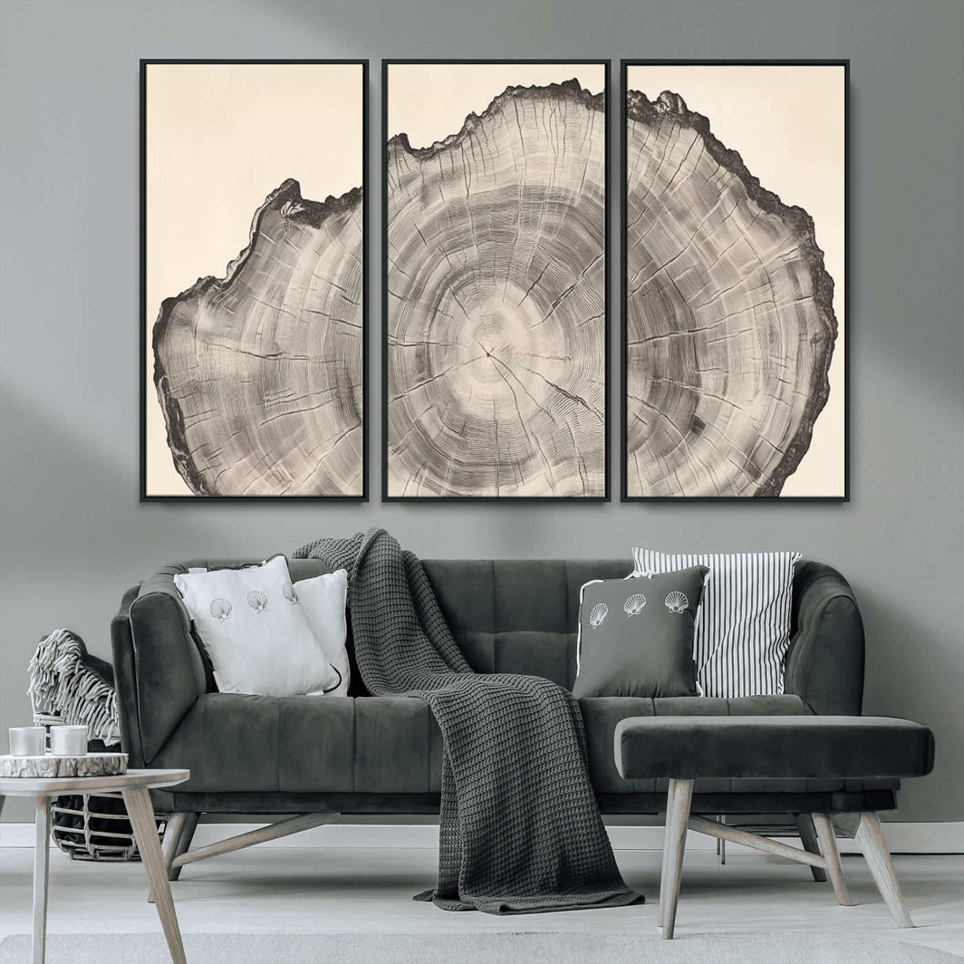 Detailed tree ring drawing in monochrome tones, ideal for rustic or nature-inspired interiors with a minimal decor aesthetic.
