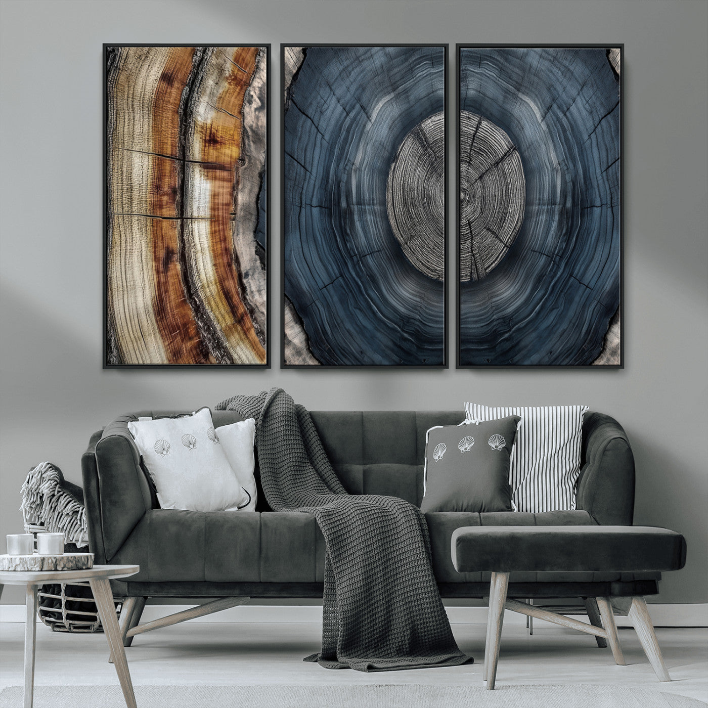A stunning close-up of a tree trunk showing the intricate, circular growth rings, showcasing the natural textures and rich contrasts in deep blues, browns, and silvers.