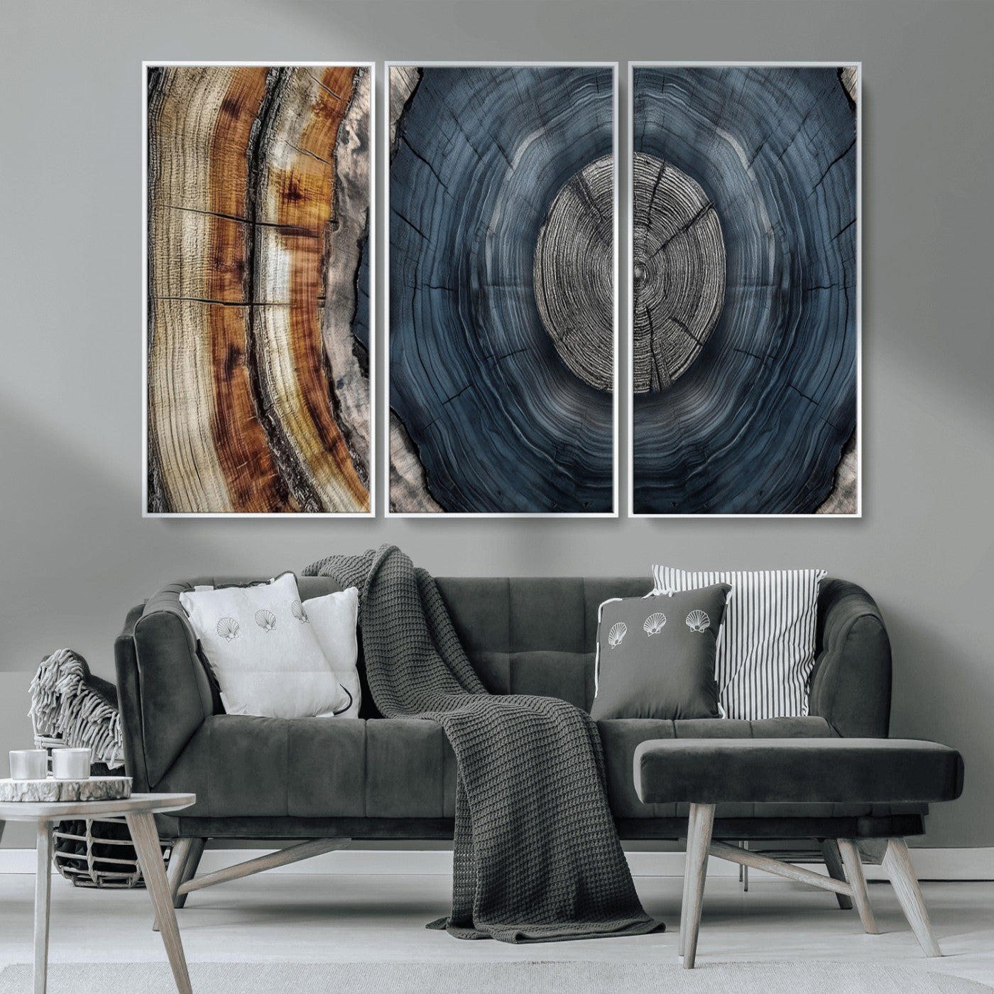 A stunning close-up of a tree trunk showing the intricate, circular growth rings, showcasing the natural textures and rich contrasts in deep blues, browns, and silvers.